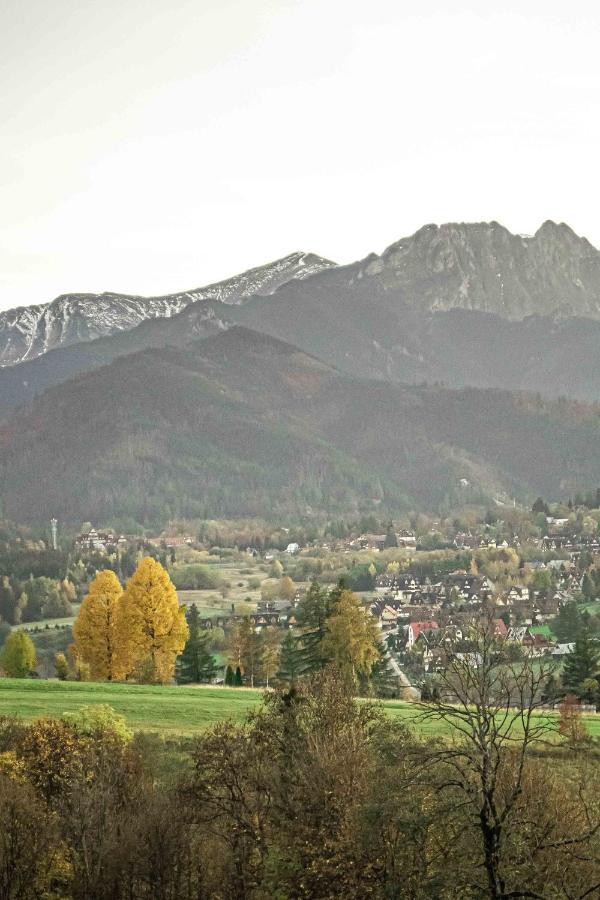 Willa Grg Zakopane Exterior foto